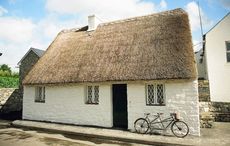 Irish thatched cottage owners fighting to save iconic homes from insurance prices