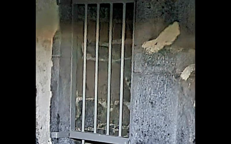 Irish paranormal investigators might have photographed a legendary shapeshifter