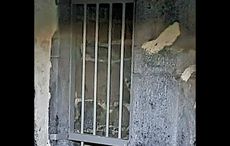 Irish paranormal investigators might have photographed a legendary shapeshifter