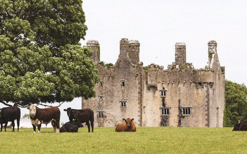 Killaleigh Castle