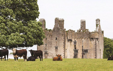 16th-century Irish castle in County Tipperary on the market for over $8 million