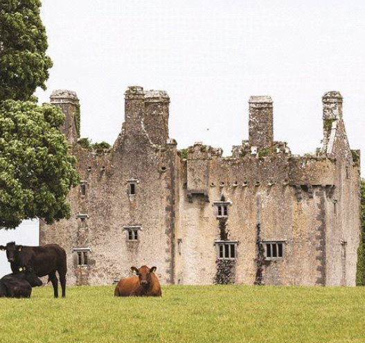 16th-century Irish castle in Co Tipperary on the market for over $8 million