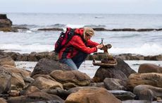 The health benefits of the Jamaican Irish moss drink