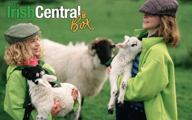 Missing Ireland? Connect to the Emerald Isle with a limited edition Irish gift box 
