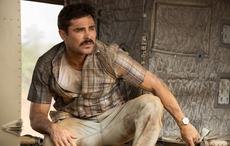 Who should tell Irish America's stories? Flawless human specimen Zac Efron?