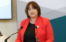 Irish politicians claim bag of excrement thrown at them in Galway