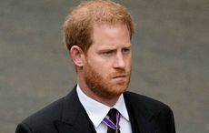 “Wonderful Irishman” brought Prince Harry to see where his mother died