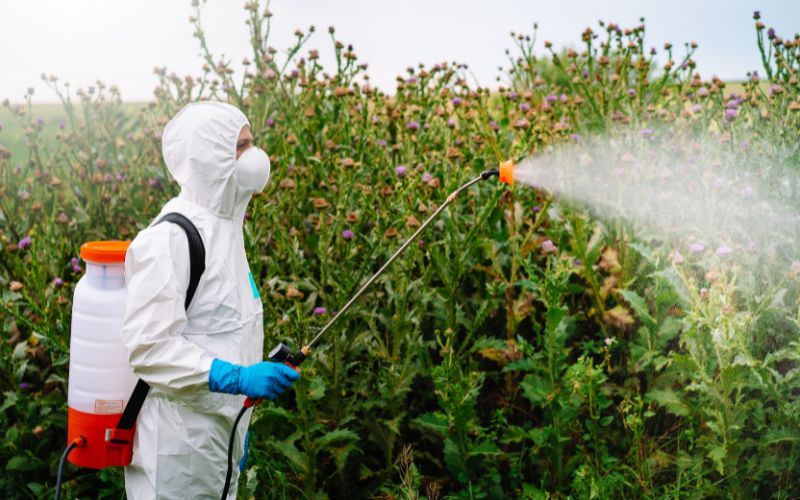 Traces of weedkiller found in one-quarter of Irish people tested in new study