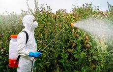 Traces of weedkiller found in one-quarter of Irish people tested in new study