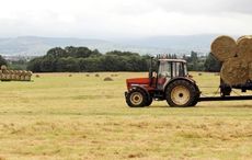 Irish farmers break record in applying to become organic