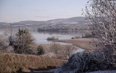 Hoar frost - The magic of a frosty, still morning in the West of Ireland
