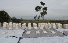 Irish Government invested a record €2.3 billion in international aid in 2022