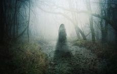 Dublin is home to this "haunted" 15th-century castle