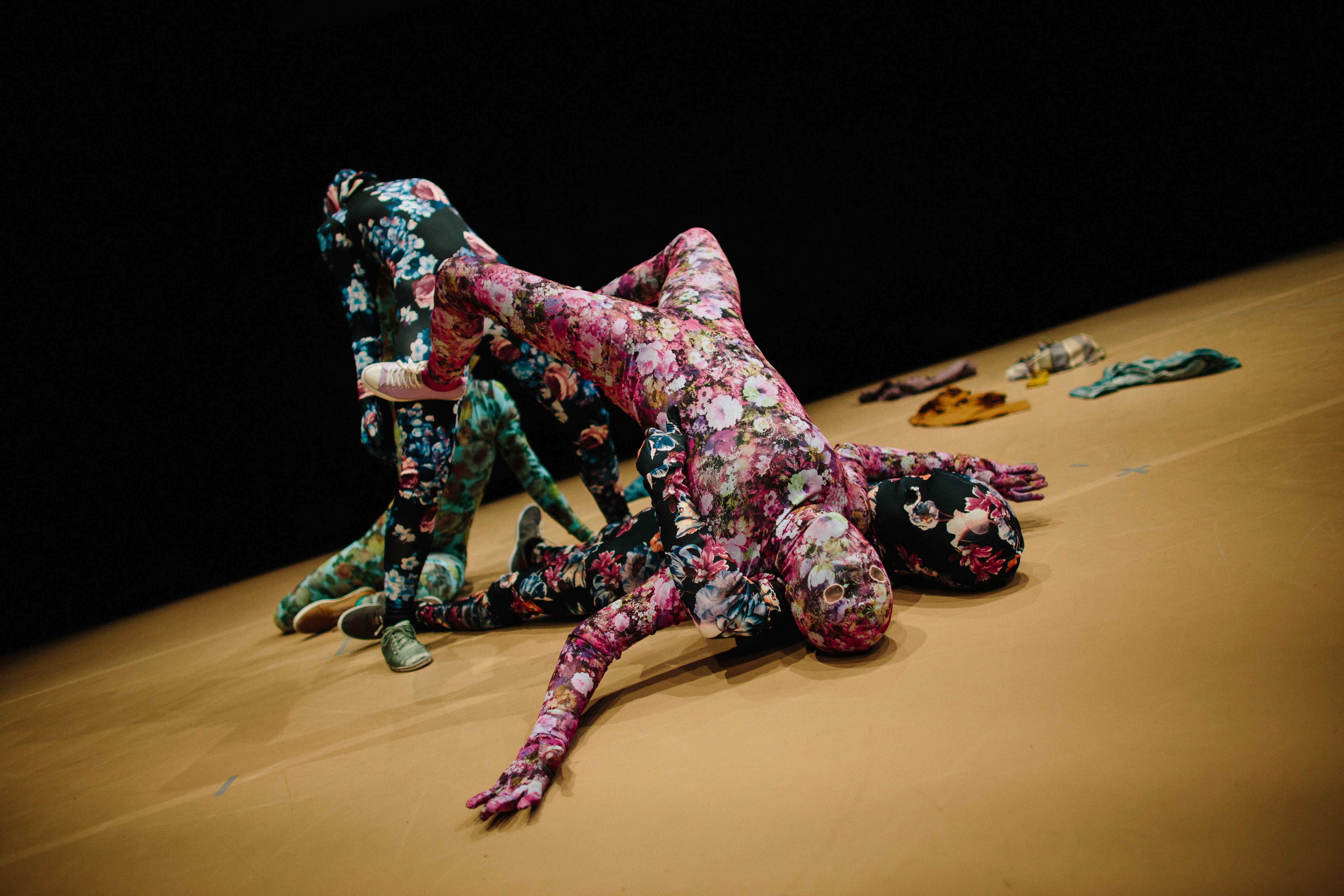 Liz Roche Company presents "Alternately Terrific and Gentle" a groundbreakings live performance