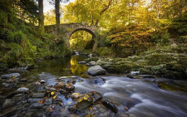 Tollymore Forest Park.