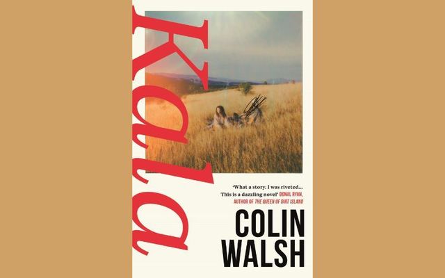 \"Kala\" by Irish author Colin Walsh is the November 2023 selection for the IrishCentral Book Club.