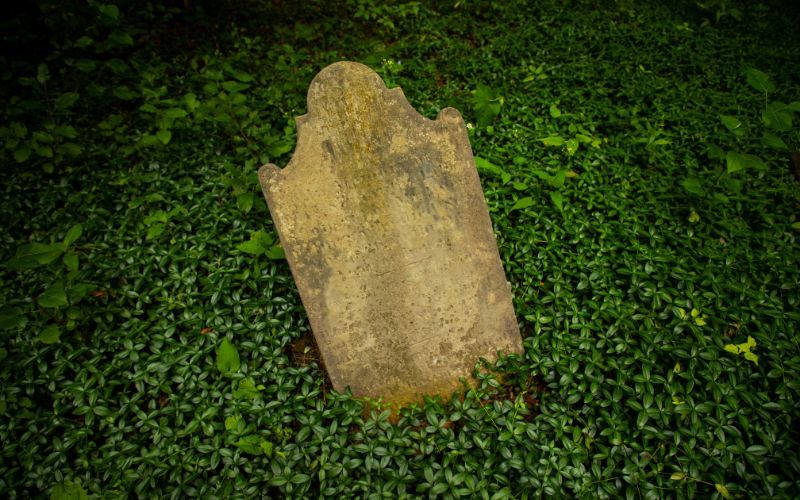 Bizarre Ireland reference featured in "mean-spirited" Halloween display in Florida