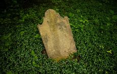 Bizarre Ireland reference featured in "mean-spirited" Halloween display in Florida