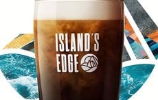 Guinness competitor reportedly axed in Ireland amid poor sales