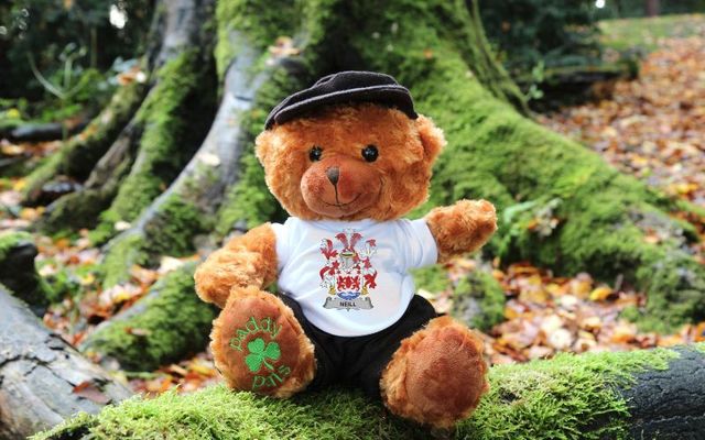 Ború the Irish Family Crest Bear, \"Neill\" Irish crest