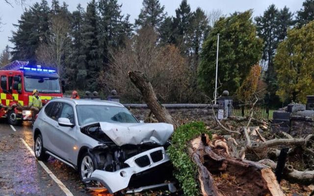 November 13, 2023: Emergency services respond after a fallen tree hits a car in Co Meath. 