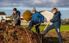 Dublin suburb of Darndale joins Milan and Barcelona as new European urban forest