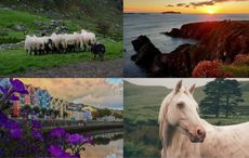 Photos of Ireland: Winners of My Irish Cousin's photo competition have been chosen!