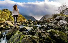 Ireland's best woodland walks for a stroll this winter