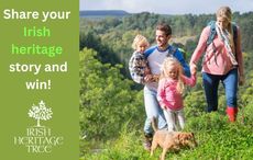 Share your Irish family tree story this St. Patrick's Day and win a tree planted in Ireland 