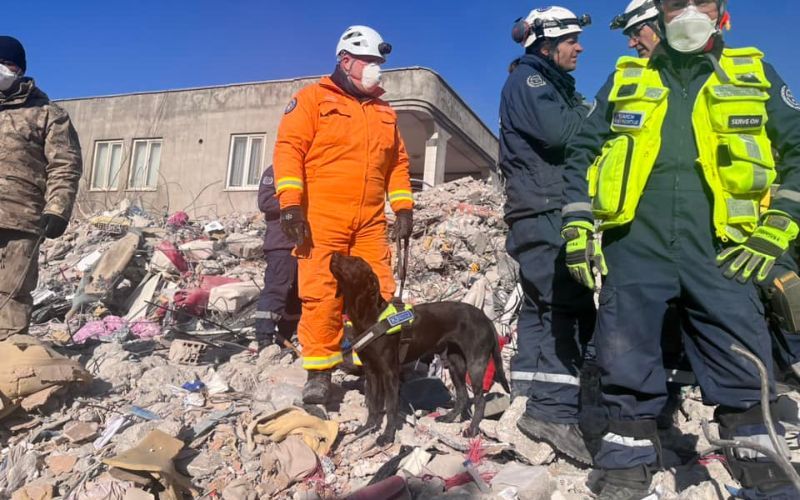 Northern Irish charity helps rescue woman from rubble in Turkey