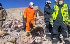 Northern Irish charity helps rescue woman from rubble in Turkey