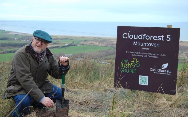 Meet Ireland's friendliest car rental, who are planting Irish trees on the Dingle Peninsula