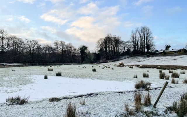 January 18, 2023: snow scenes near Kilcullen, Co Kildare.