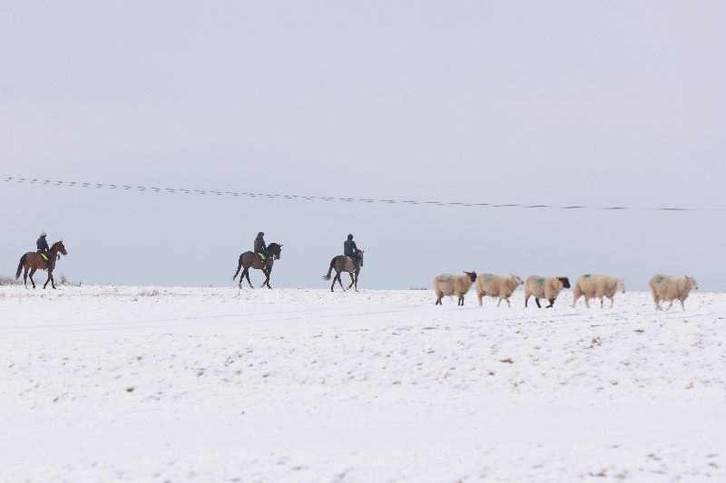 Parts of Ireland covered in snow amid weather warnings