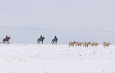 Parts of Ireland covered in snow amid weather warnings