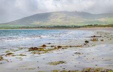 The epic Battle of Ventry, a fight against the King of the World 