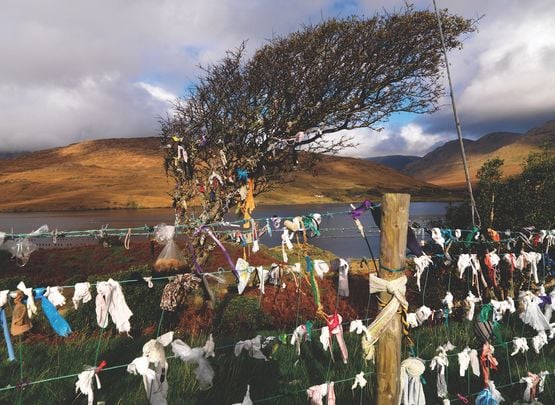 Rags decorating a fairy tree, the hawthorn.