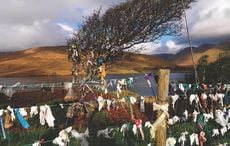 The myth and stories surrounding Ireland's fairy trees