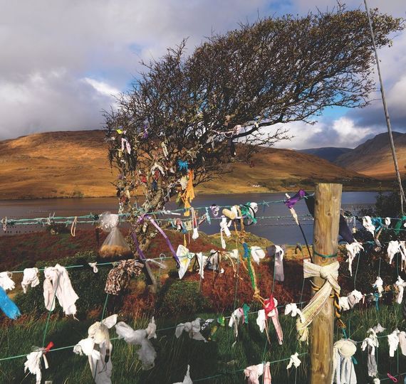 The myth and stories surrounding Ireland's fairy trees