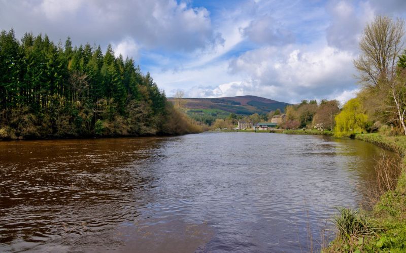 County Carlow is a haven for lovers of nature, heritage and beauty