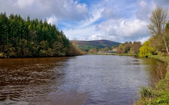 The River Barrow in County Carlow. 