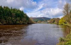 County Carlow is a haven for lovers of nature, heritage and beauty