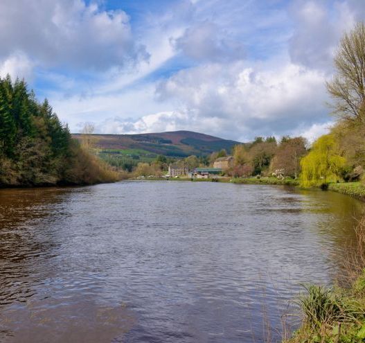 County Carlow is a haven for lovers of nature, heritage and beauty