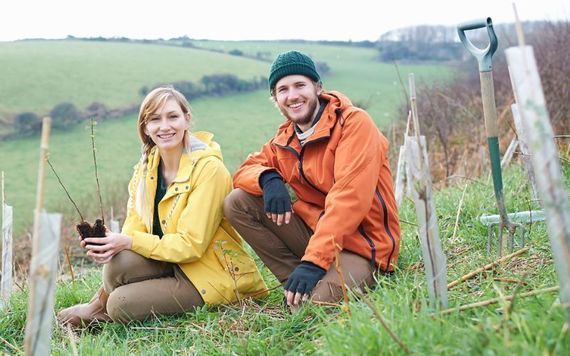 Plant a tree in Ireland for National Heritage Week.