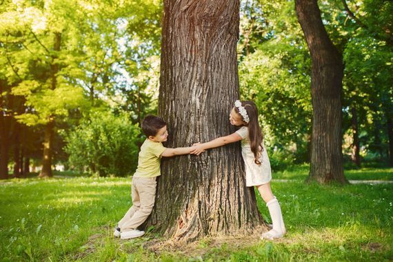 Plant a tree in Ireland for National Heritage Week.
