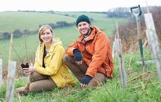 It's National Heritage Week - you can celebrate by planting a tree in Ireland