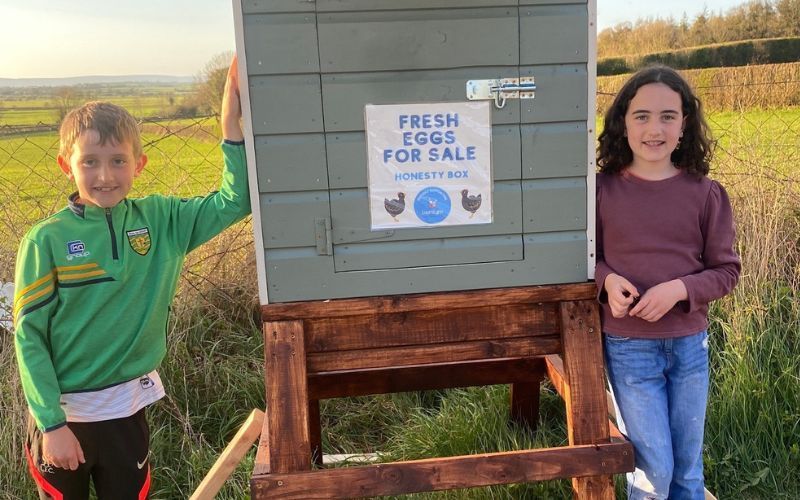 Co Laois siblings forced to close their 'honest egg box' after fourth robbery