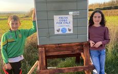 Co Laois siblings forced to close their 'honest egg box' after fourth robbery