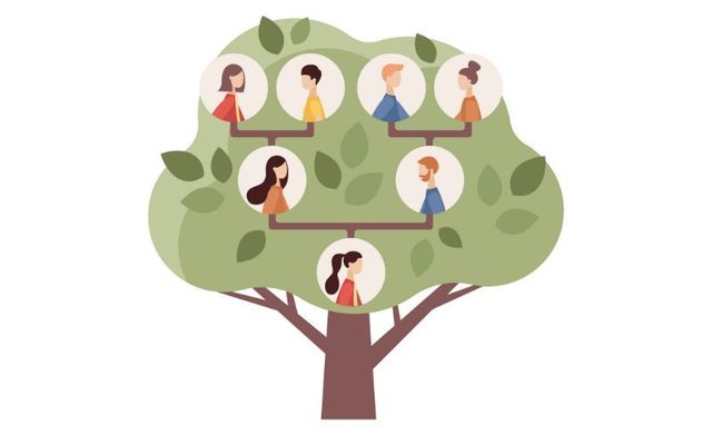 Your Irish family tree: Are name variations leaving you stumped?