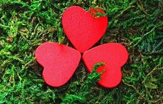 Meaning of the Irish blessing "May your blessings outnumber the shamrocks that grow"